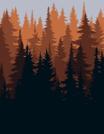 pine tree background for Red Moon Web Design website